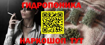 a pvp Донской