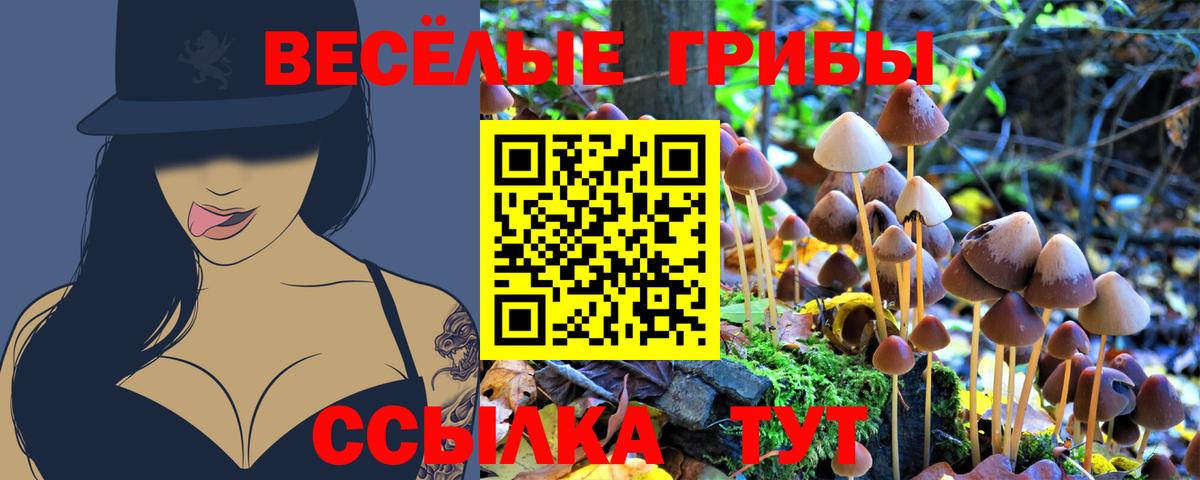 Псилоцибиновые грибы Magic Shrooms  Вход с VPN  Евпатория 